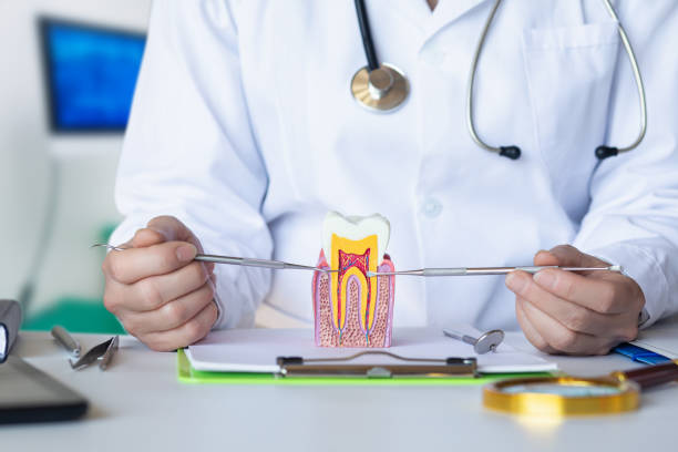 Best Broken or Cracked Tooth Emergency Dentist in Lake Shore, MD